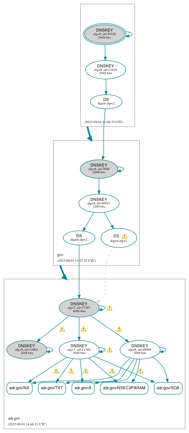 DNSSEC authentication graph