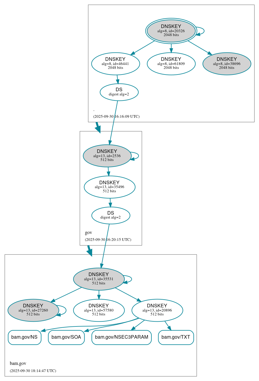 DNSSEC authentication graph