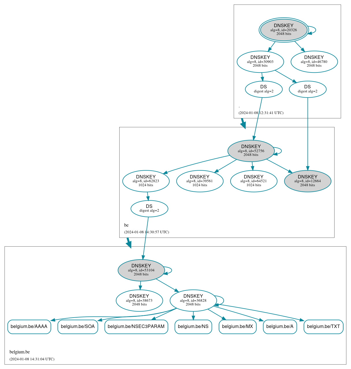 DNSSEC authentication graph