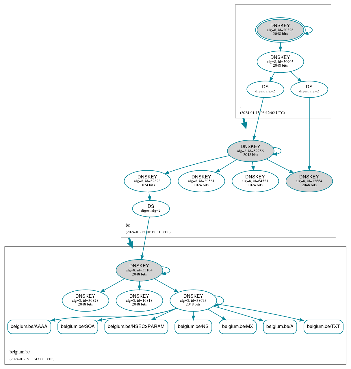 DNSSEC authentication graph