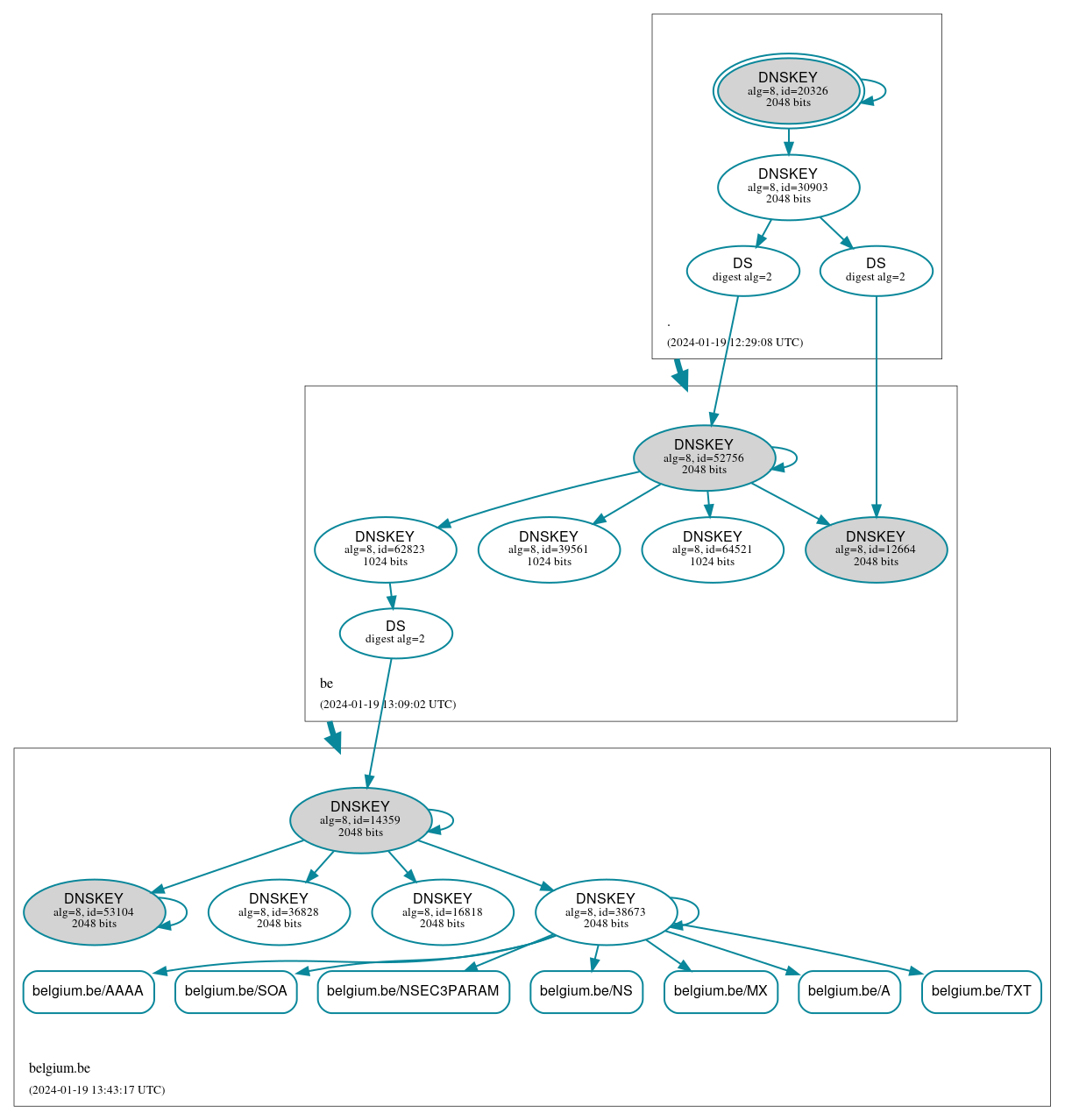 DNSSEC authentication graph