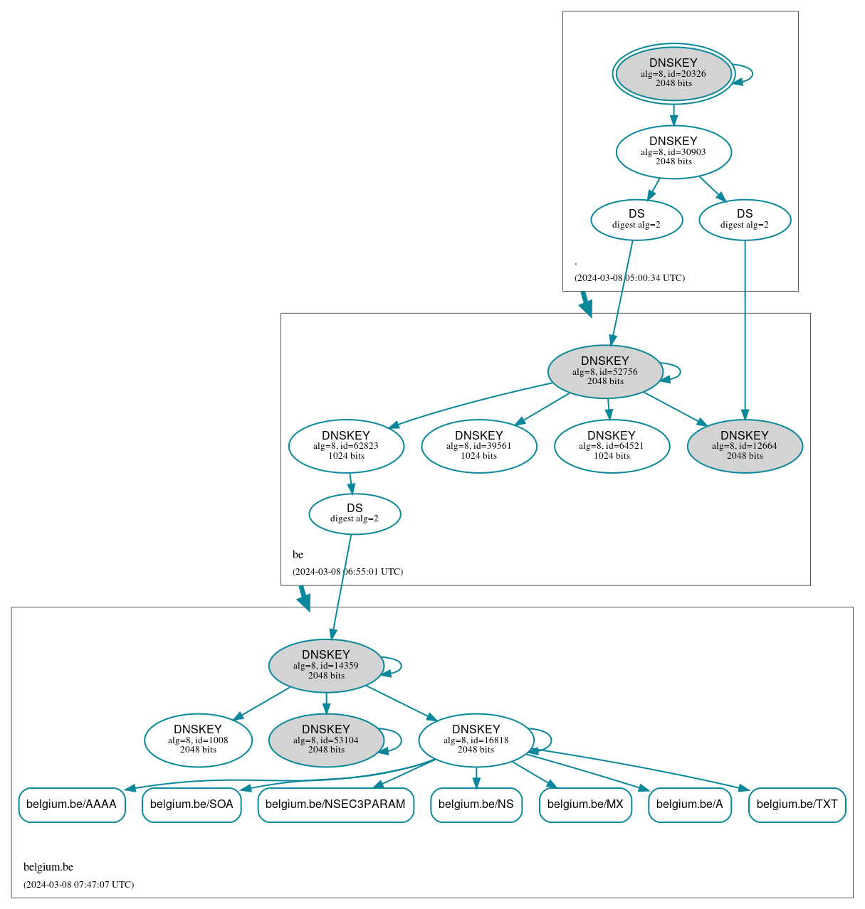 DNSSEC authentication graph