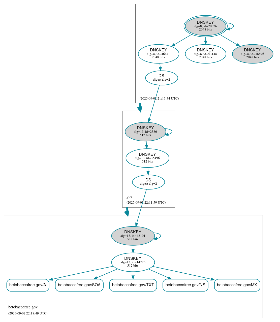 DNSSEC authentication graph