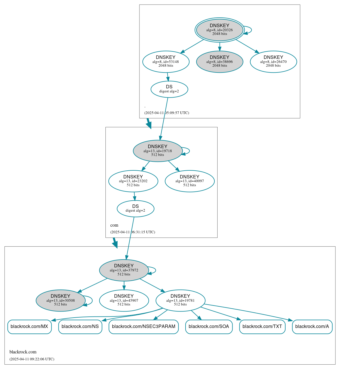 DNSSEC authentication graph