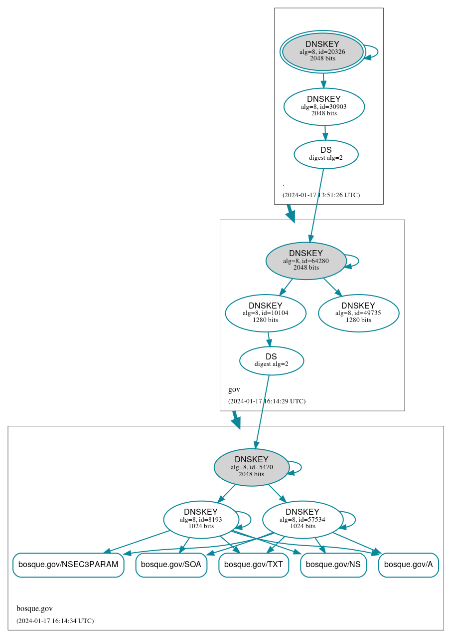 DNSSEC authentication graph