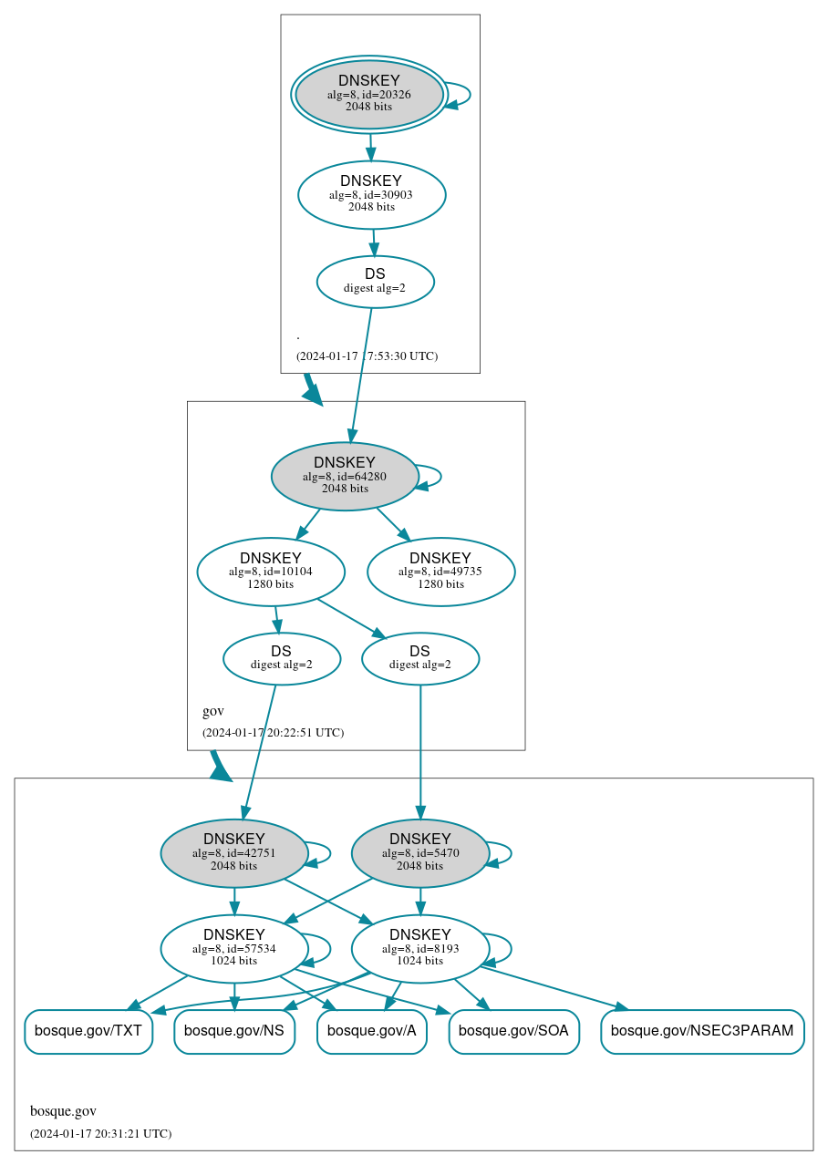 DNSSEC authentication graph