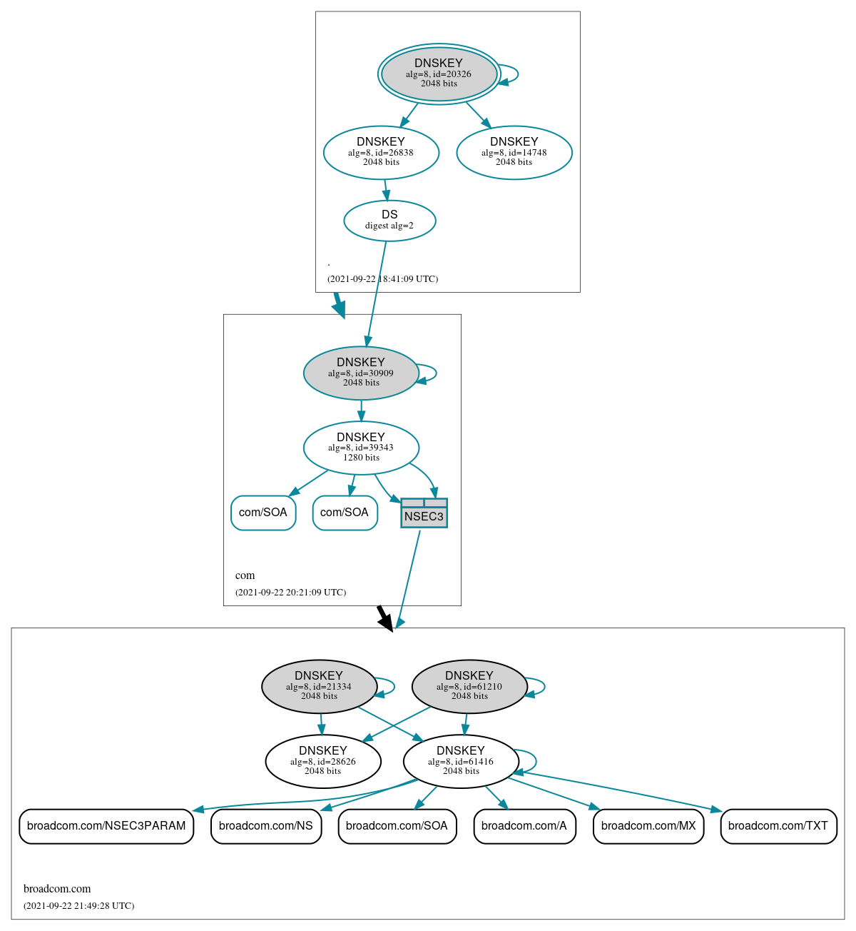 DNSSEC authentication graph