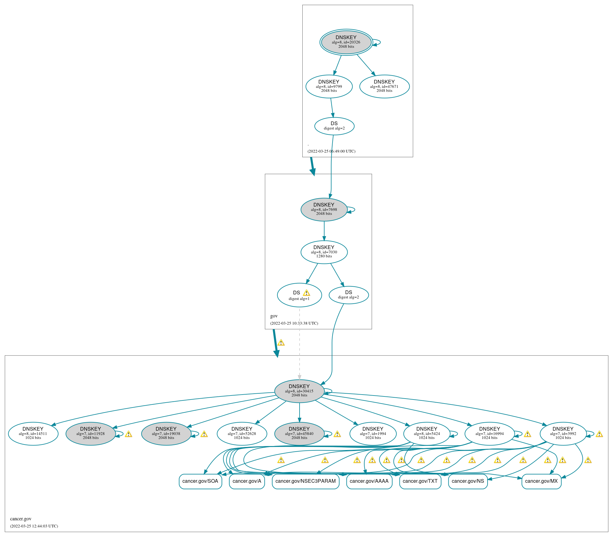 DNSSEC authentication graph