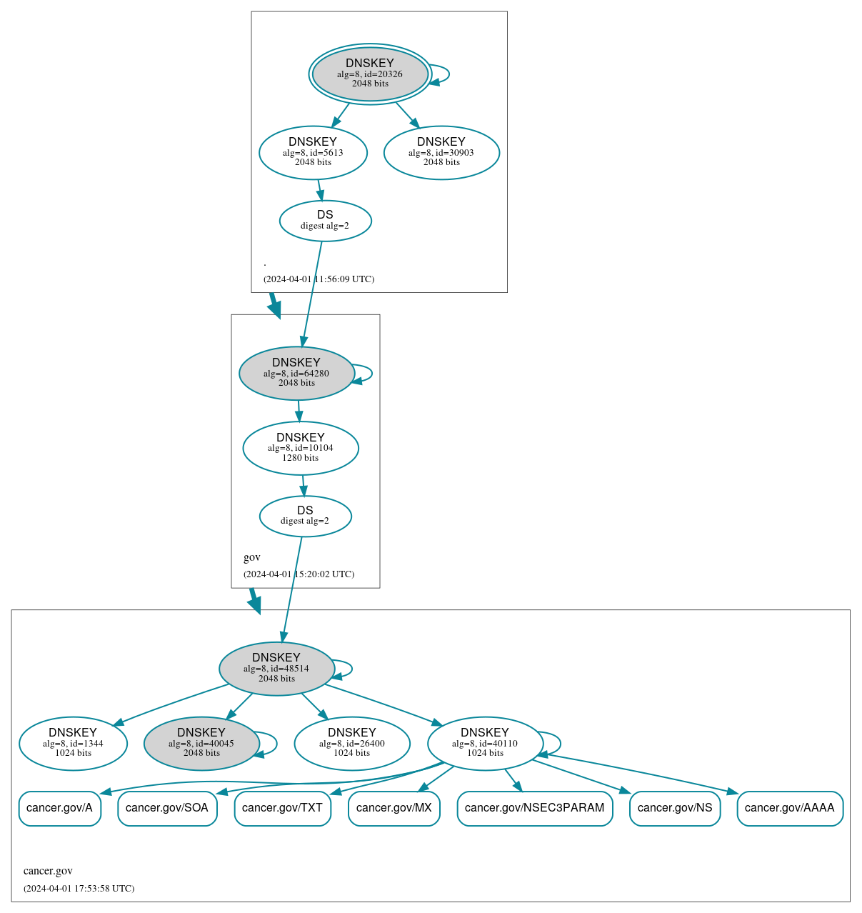 DNSSEC authentication graph