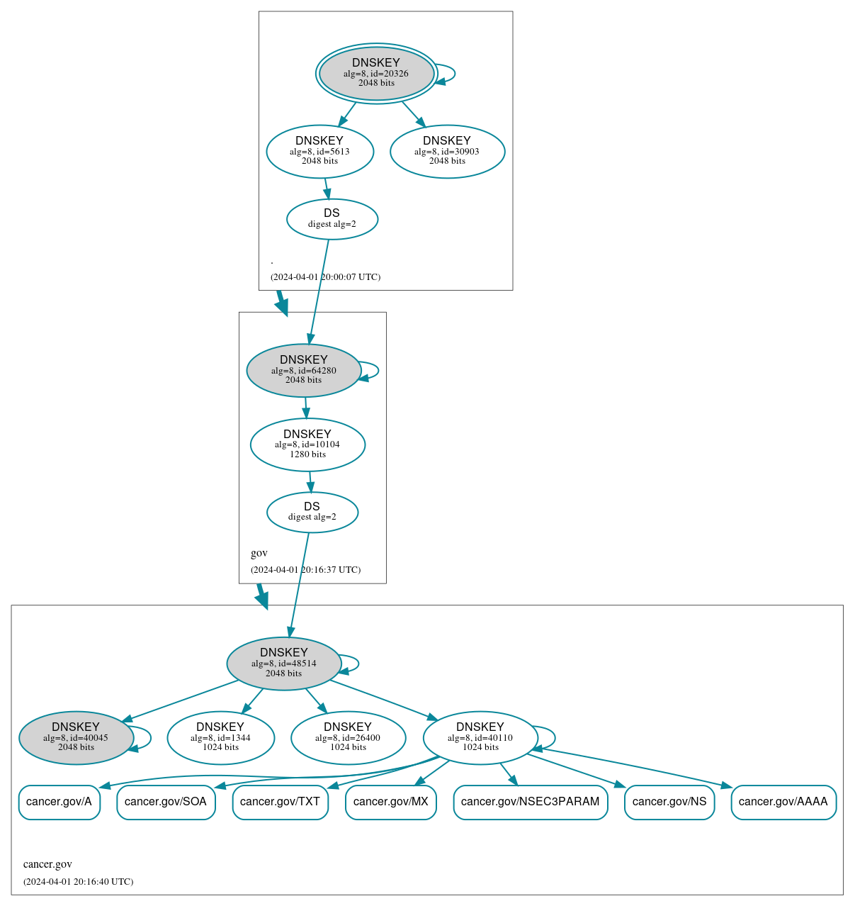 DNSSEC authentication graph