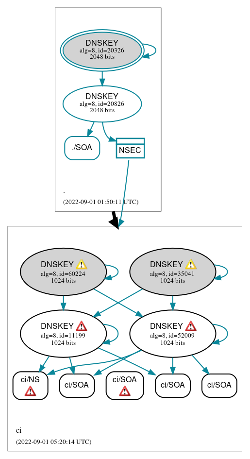 DNSSEC authentication graph