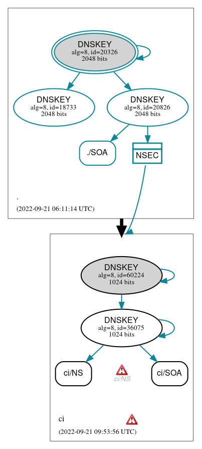 DNSSEC authentication graph