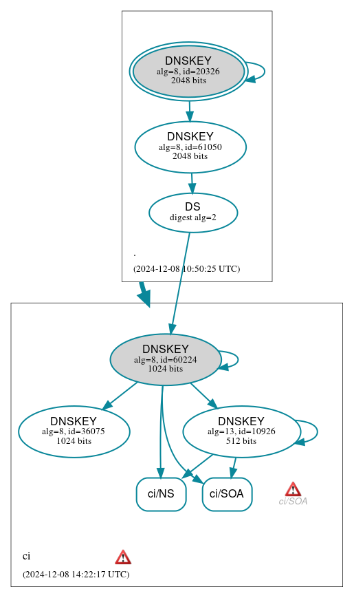 DNSSEC authentication graph