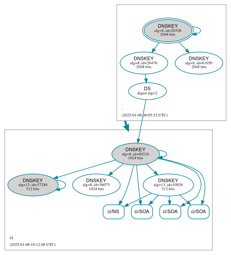 DNSSEC authentication graph