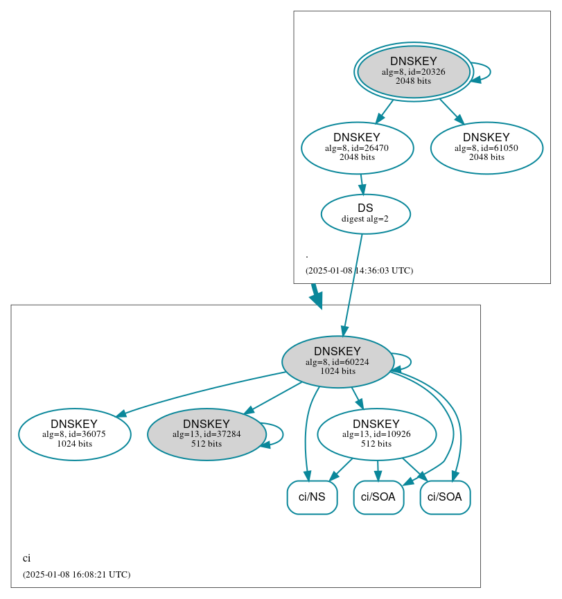 DNSSEC authentication graph