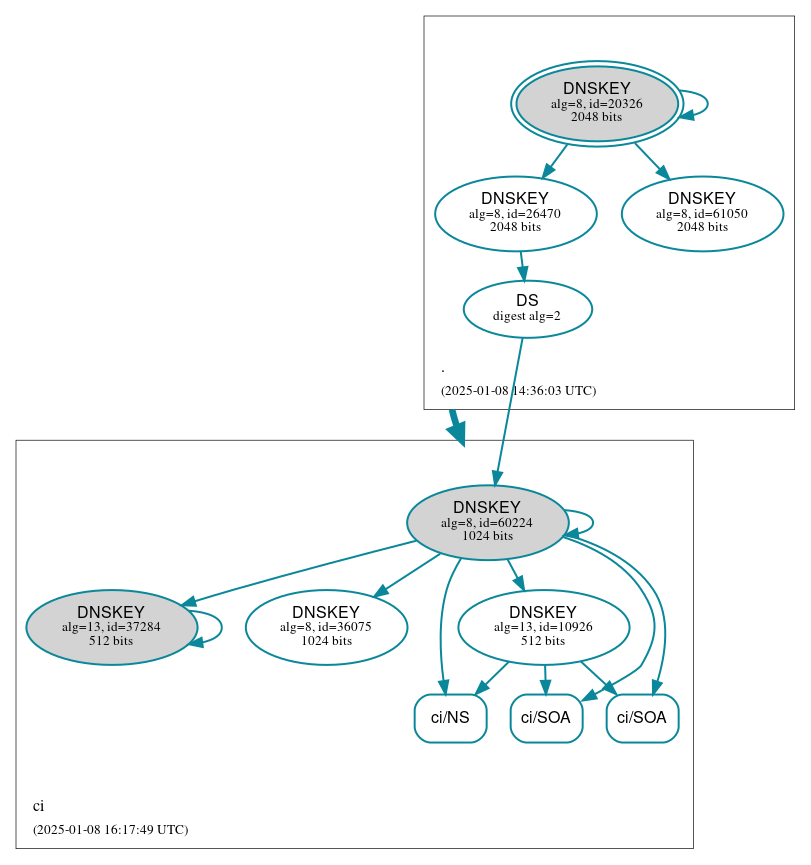 DNSSEC authentication graph