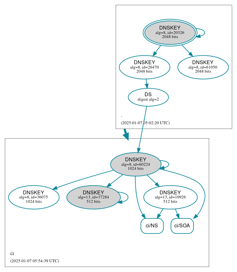 DNSSEC authentication graph