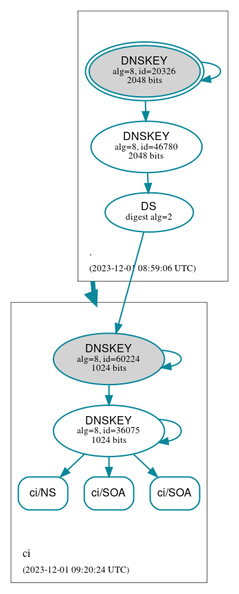 DNSSEC authentication graph