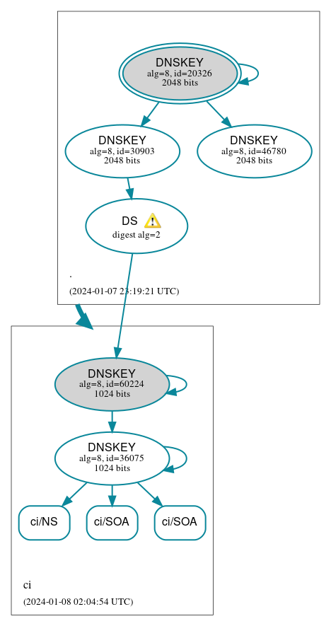 DNSSEC authentication graph