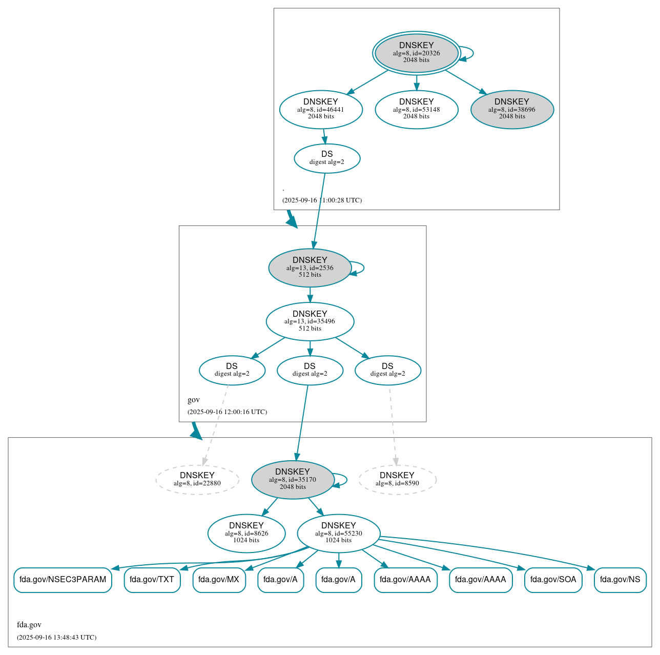 DNSSEC authentication graph
