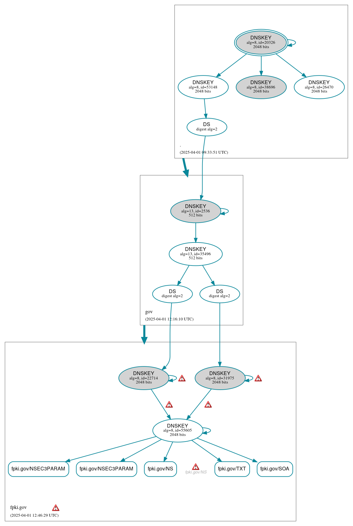 DNSSEC authentication graph