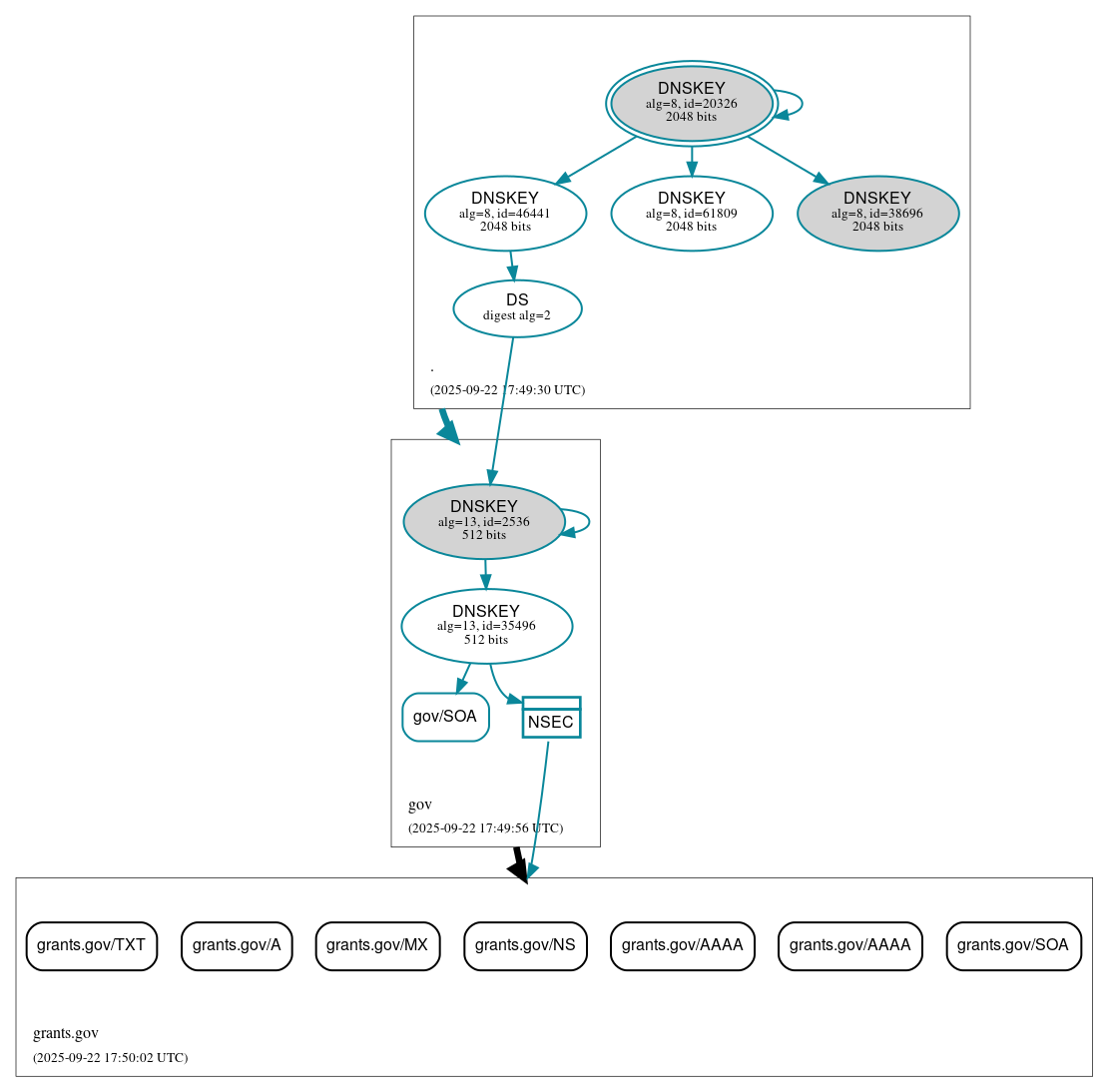DNSSEC authentication graph