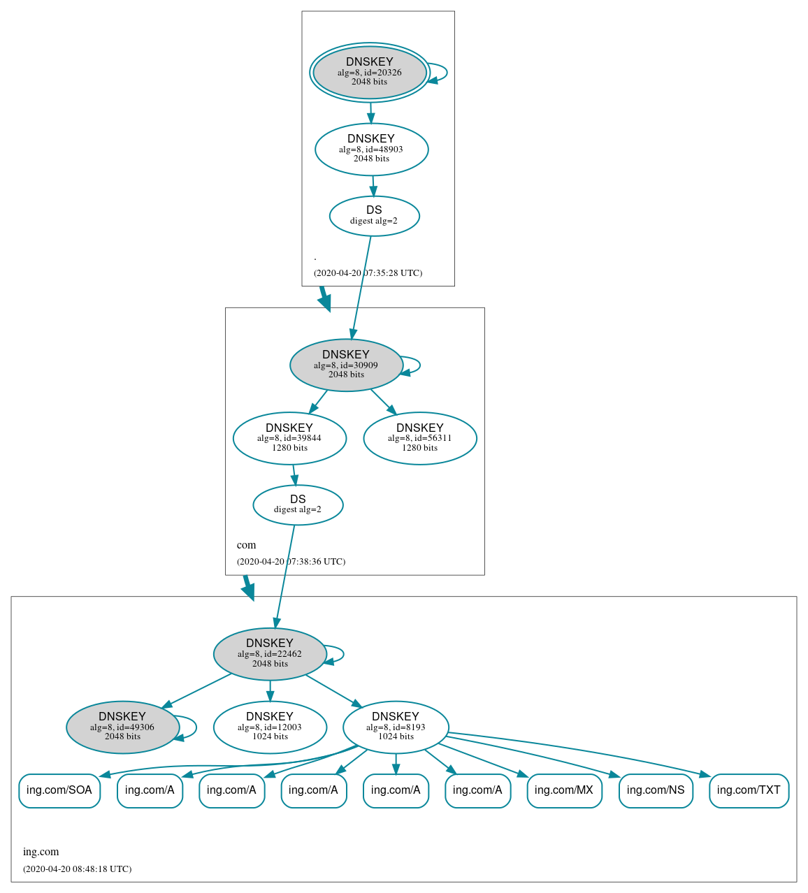 DNSSEC authentication graph