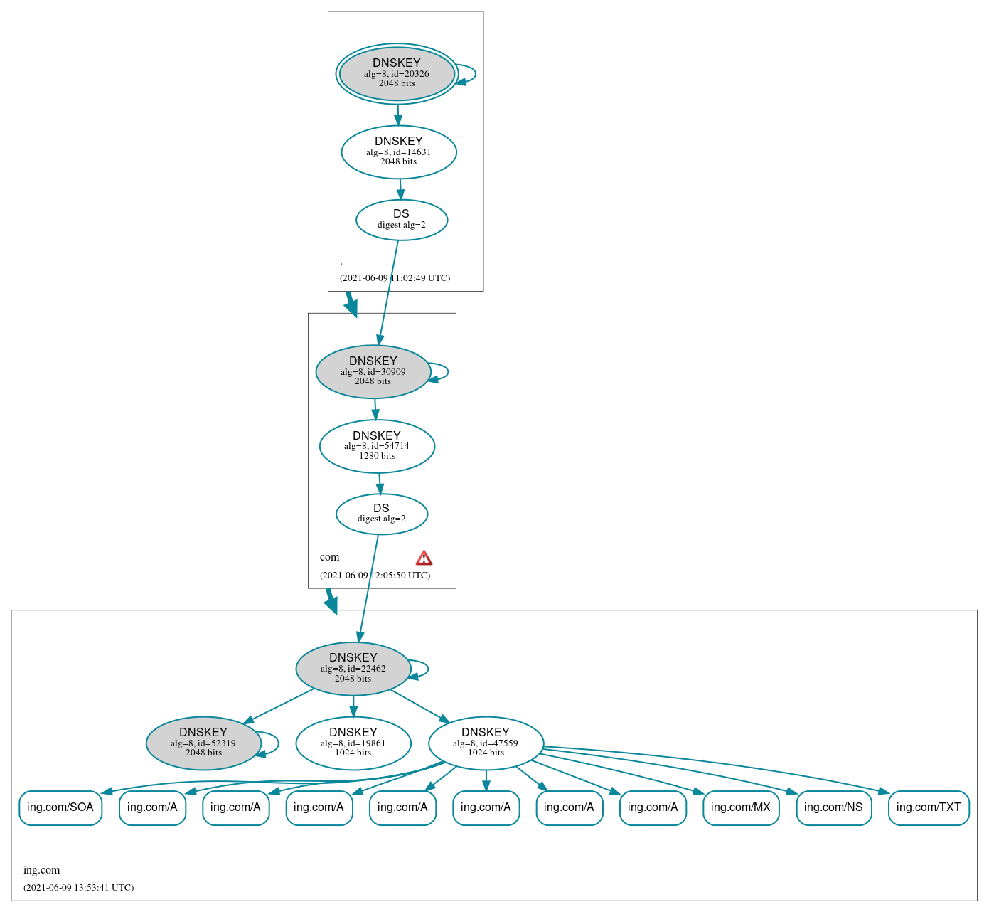 DNSSEC authentication graph