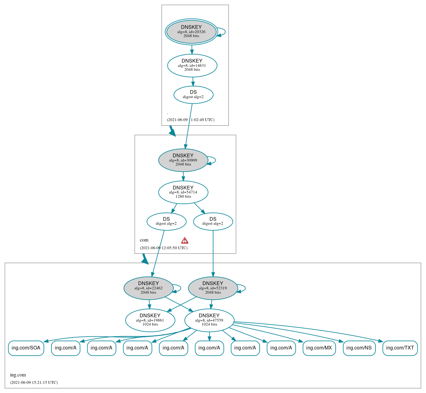 DNSSEC authentication graph