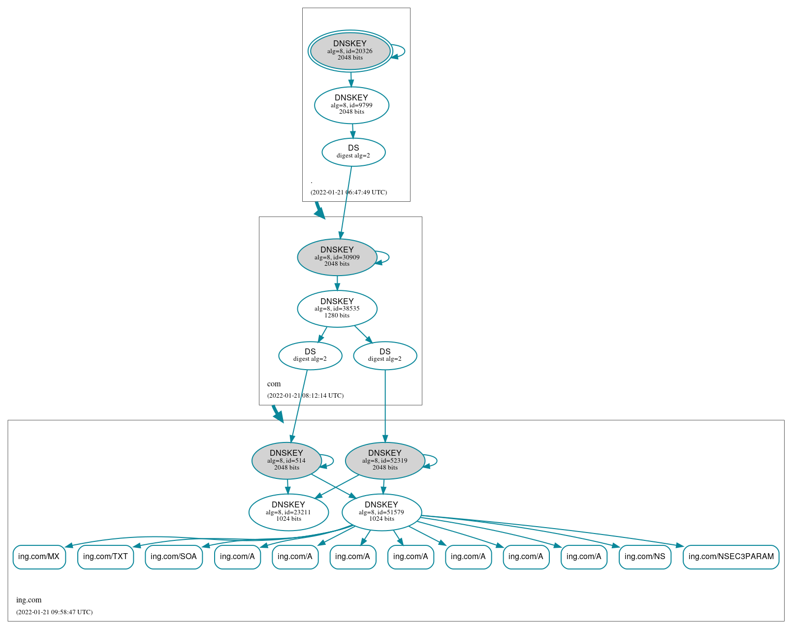 DNSSEC authentication graph