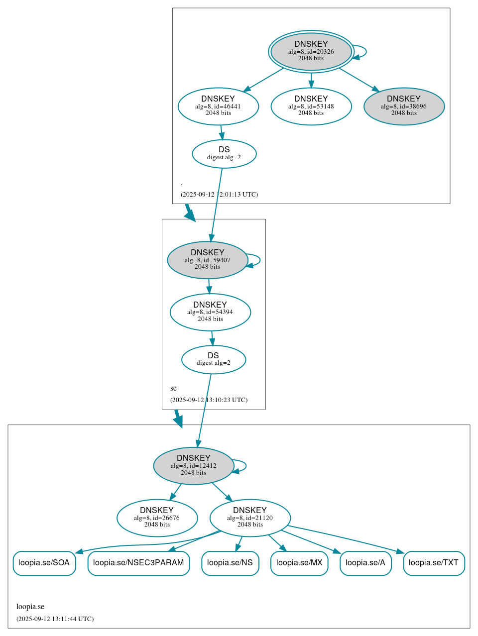 DNSSEC authentication graph