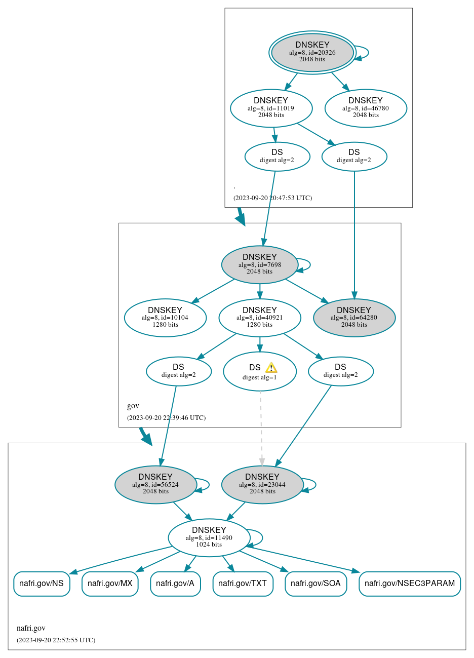 DNSSEC authentication graph