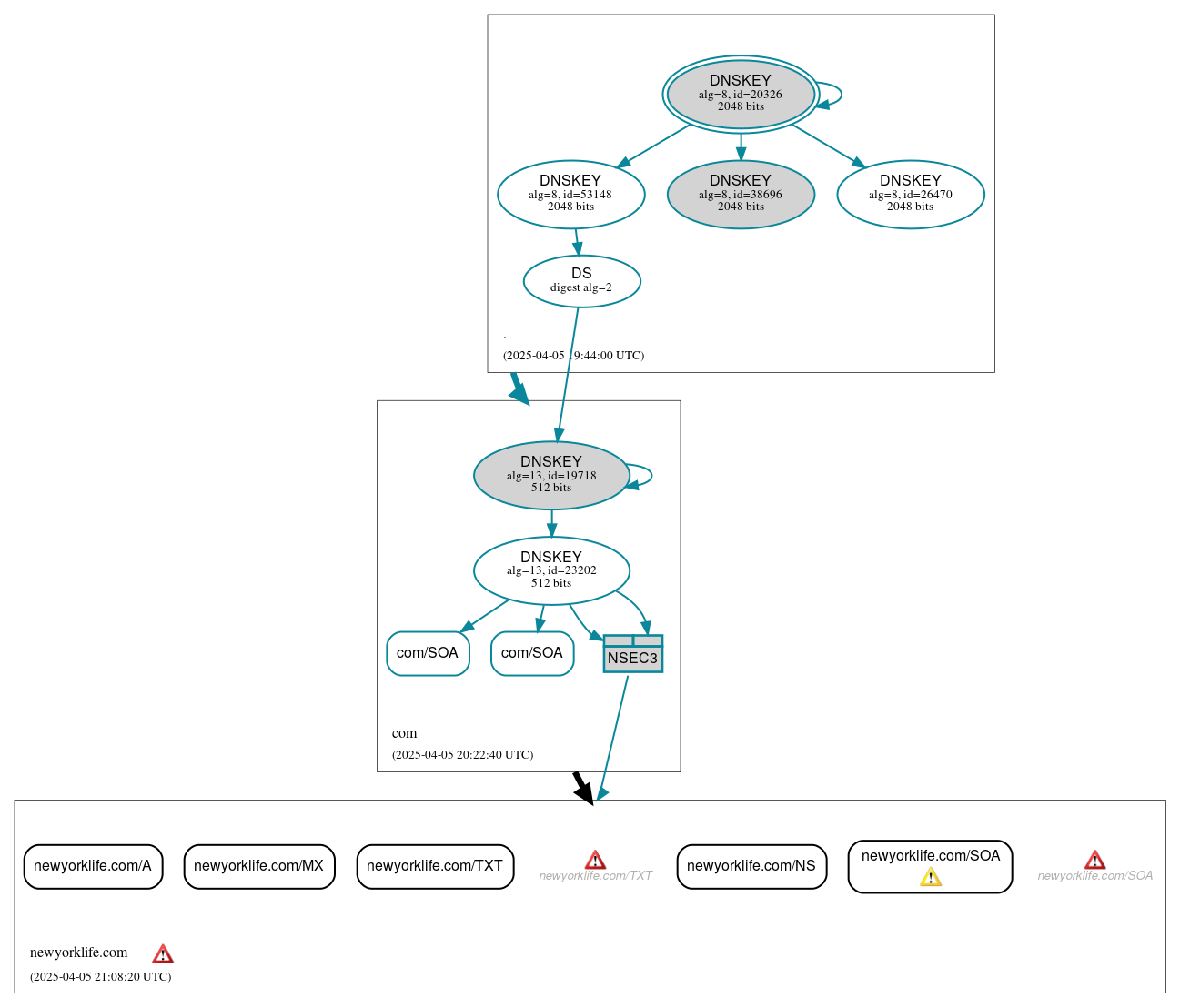DNSSEC authentication graph