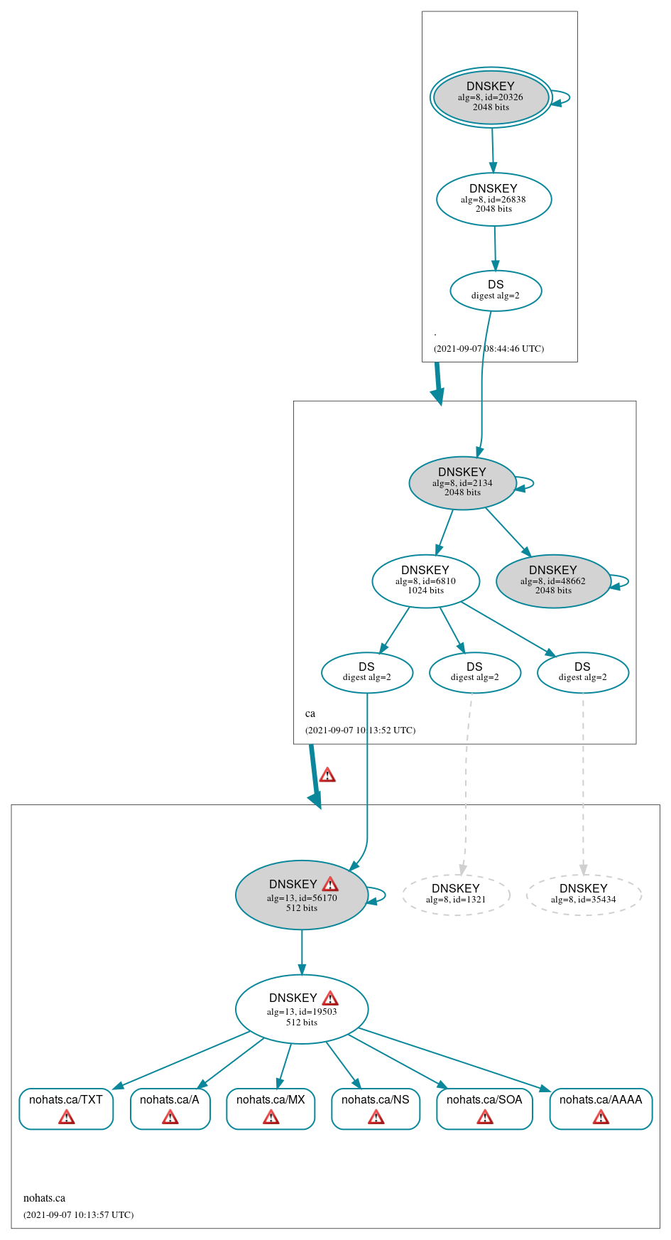 DNSSEC authentication graph