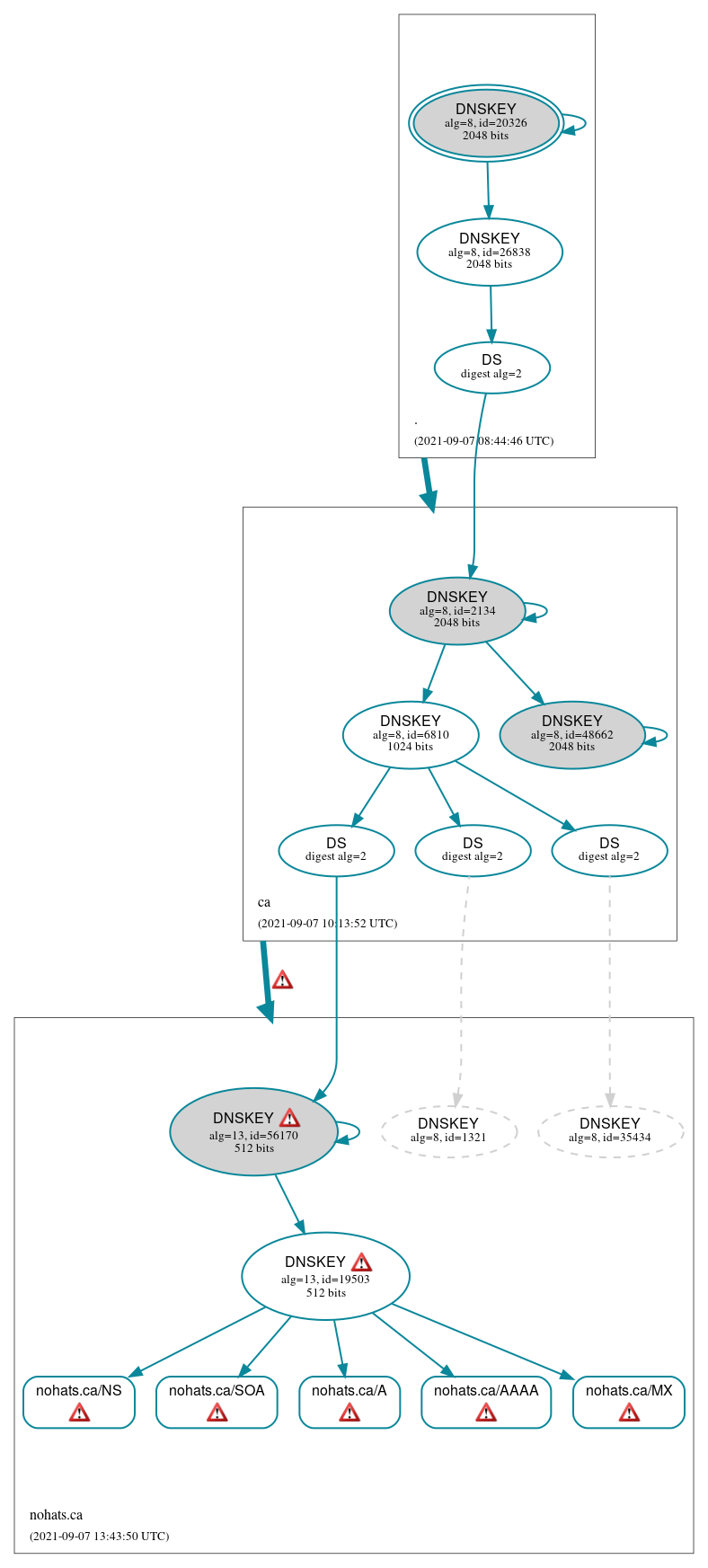 DNSSEC authentication graph