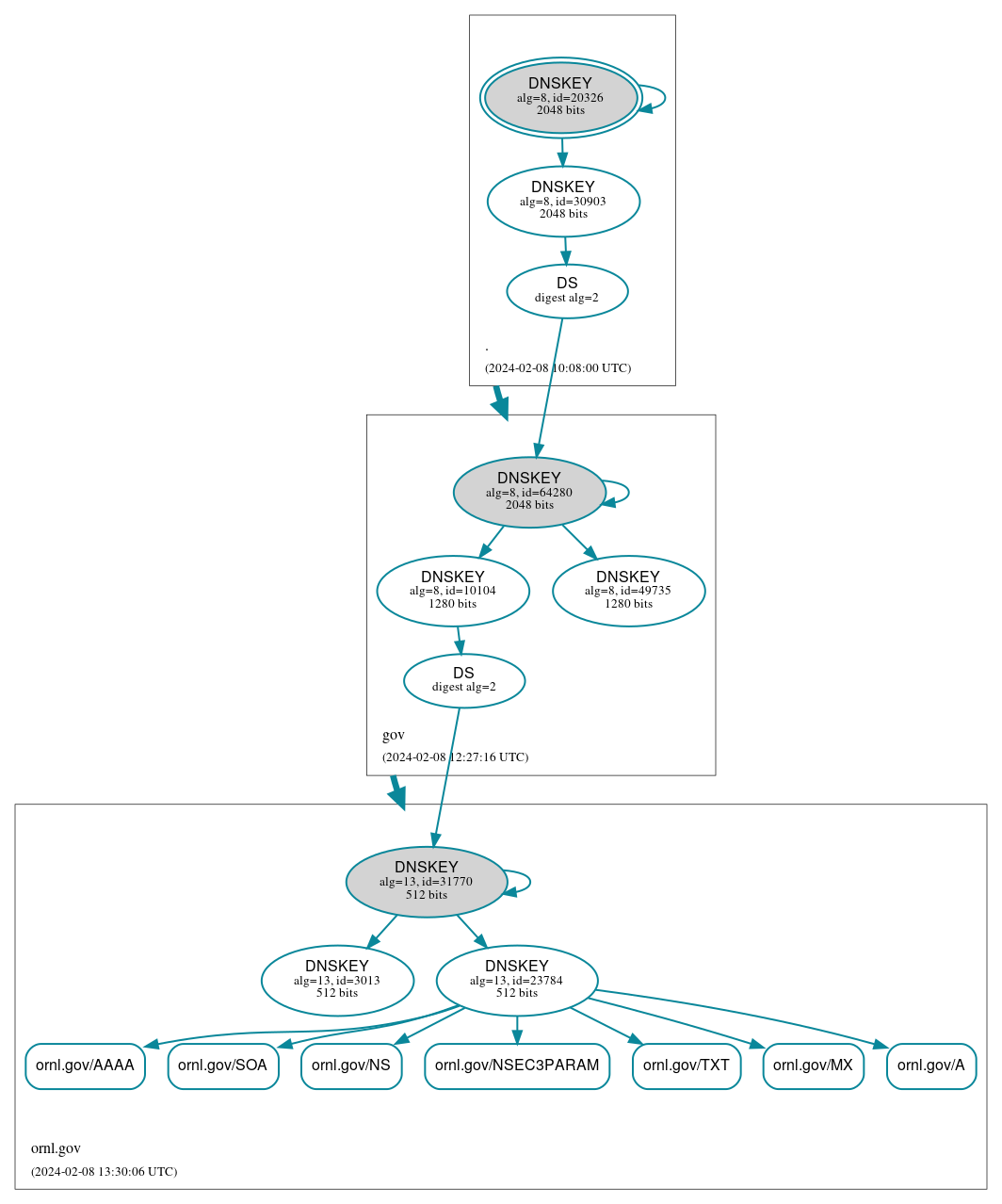 DNSSEC authentication graph