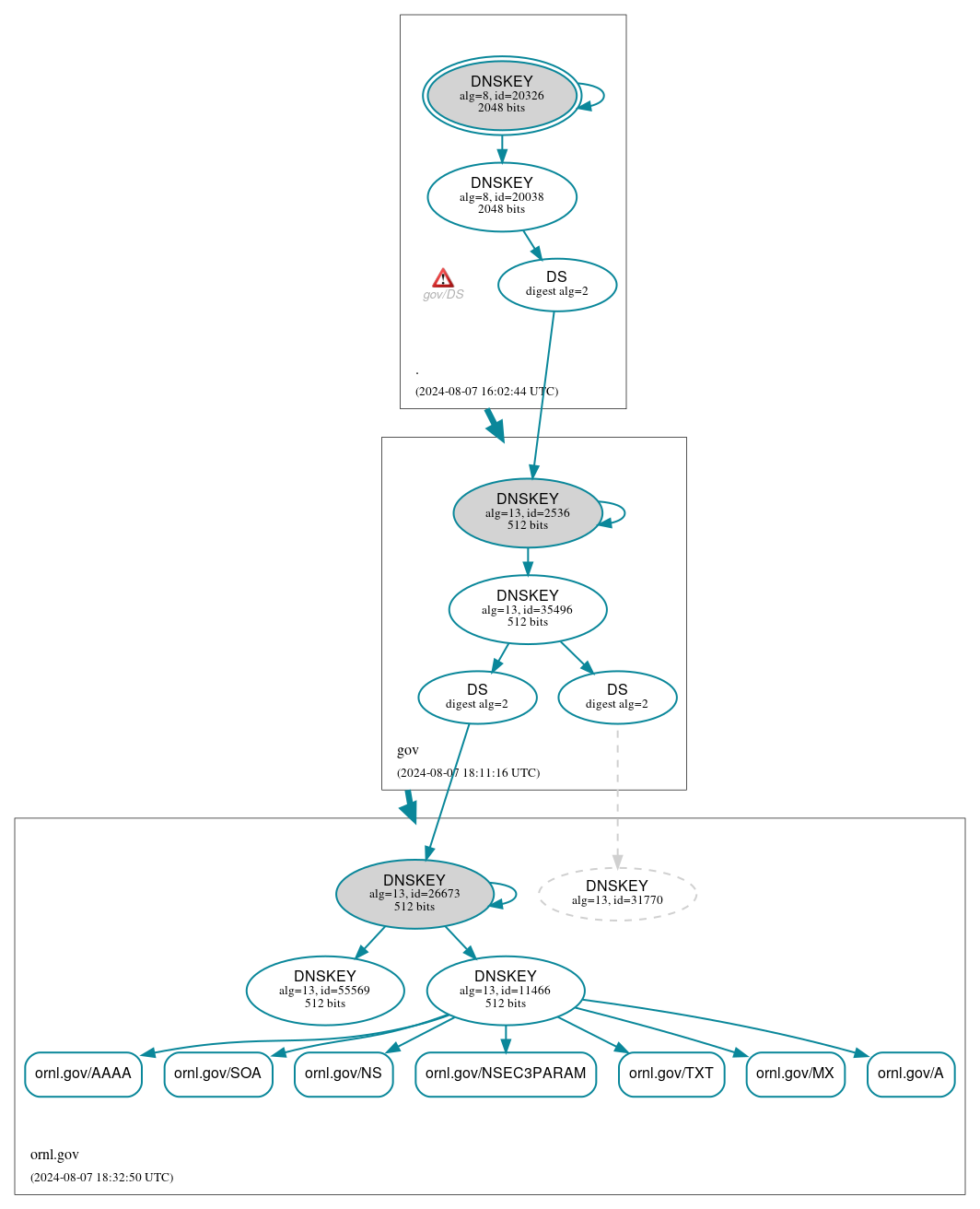 DNSSEC authentication graph