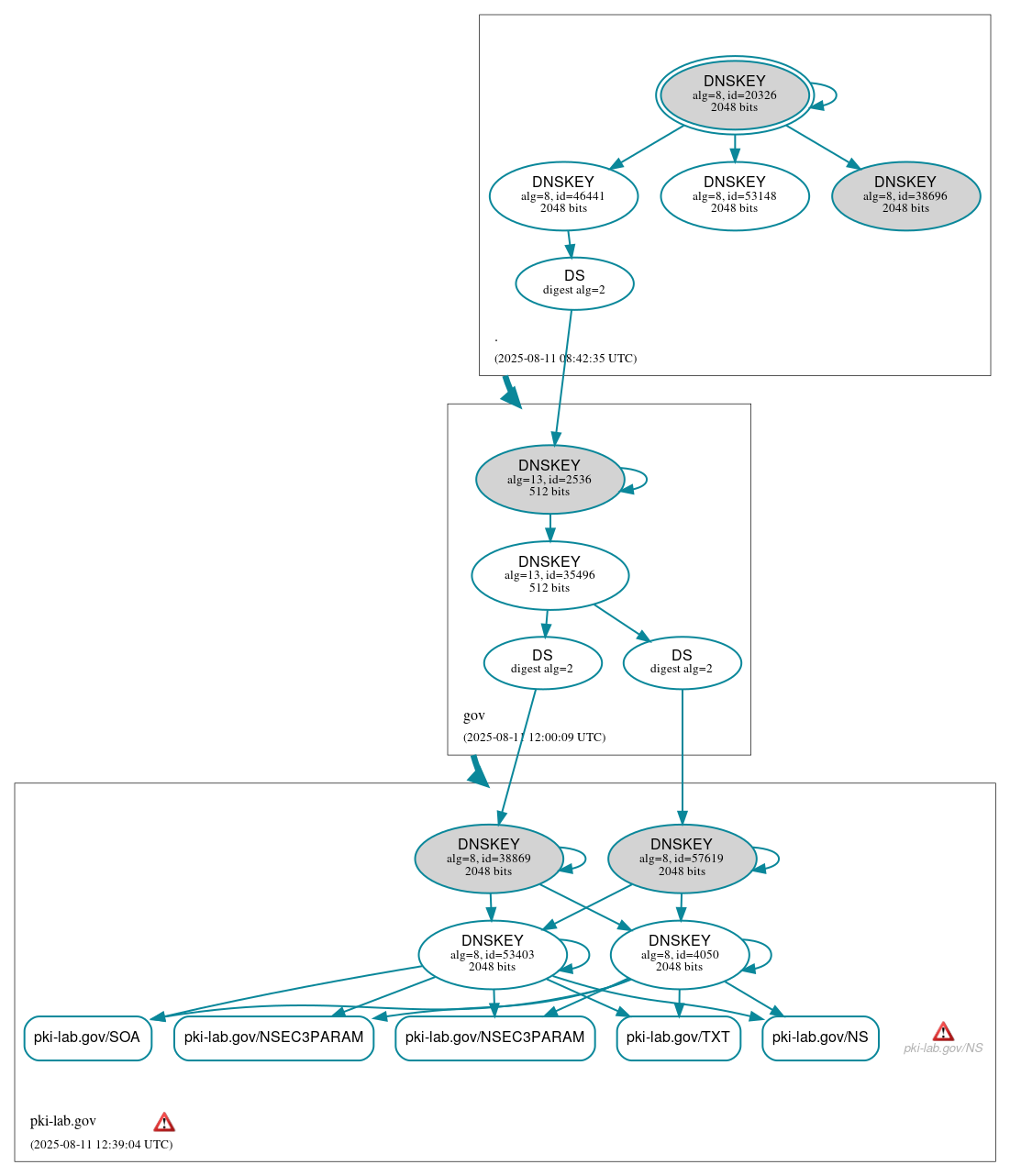 DNSSEC authentication graph
