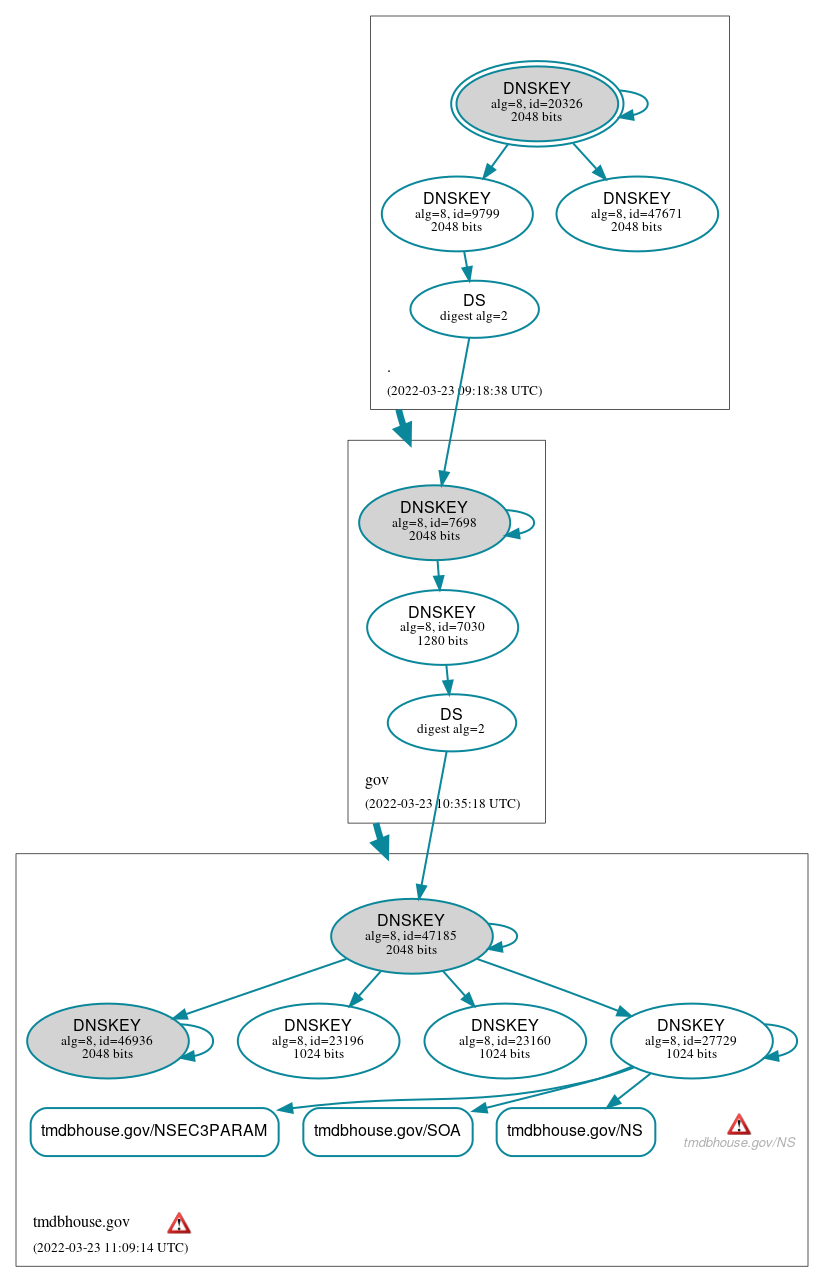 DNSSEC authentication graph