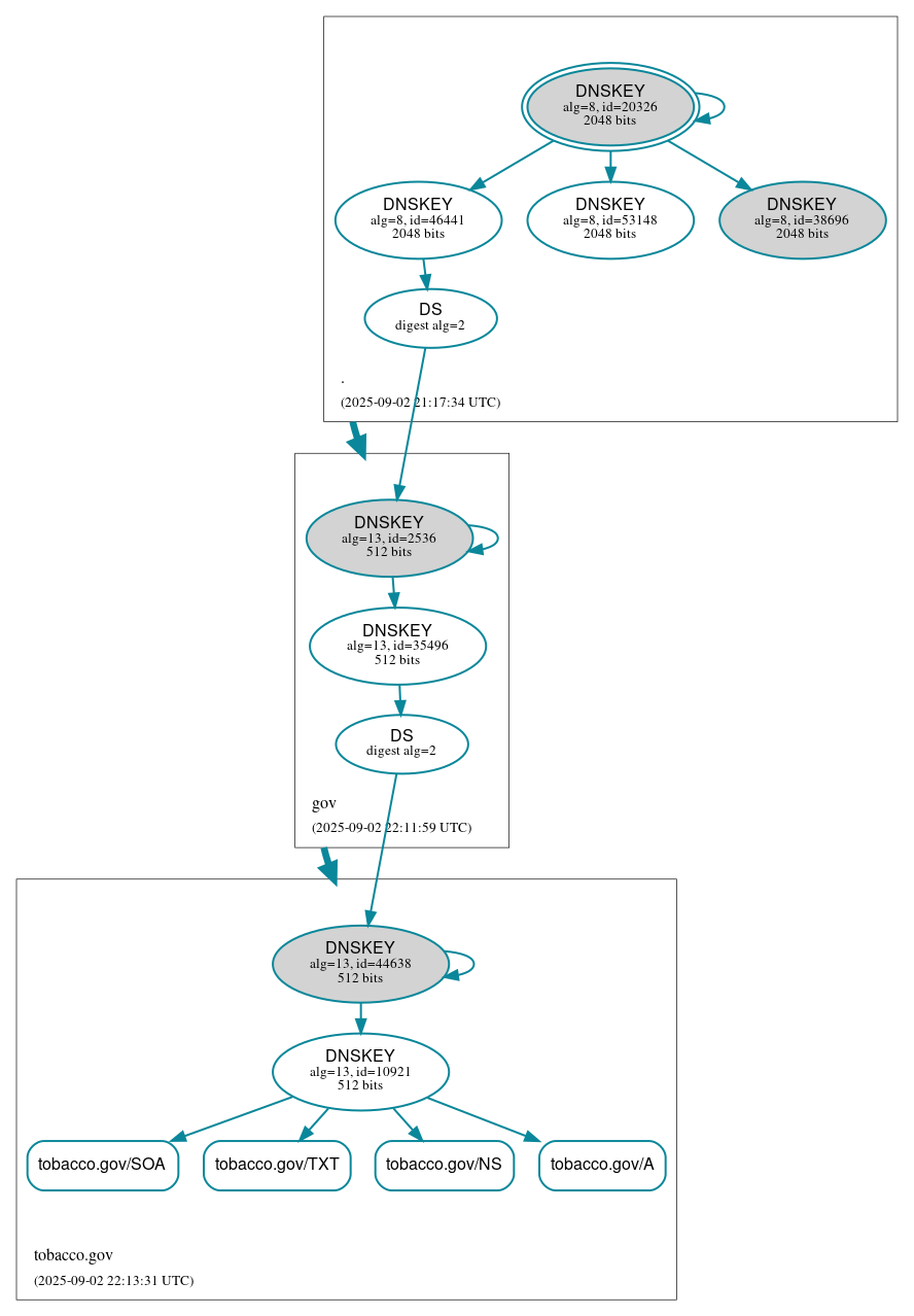 DNSSEC authentication graph