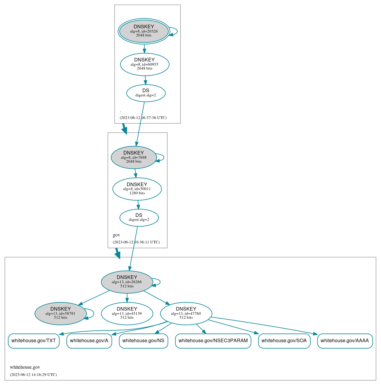 DNSSEC authentication graph