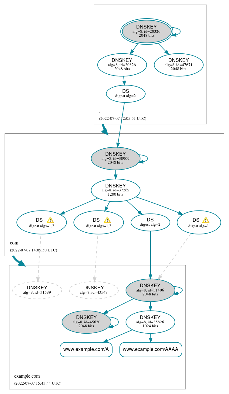 DNSSEC authentication graph