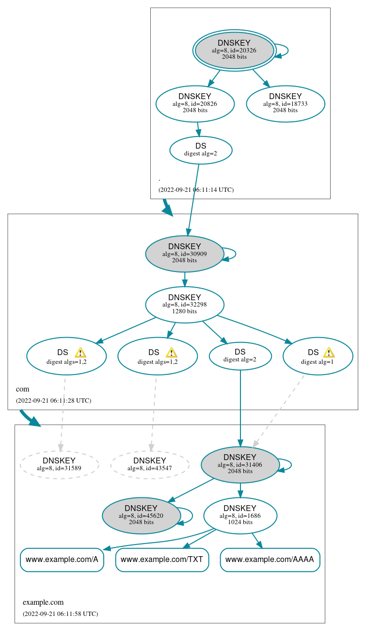 DNSSEC authentication graph