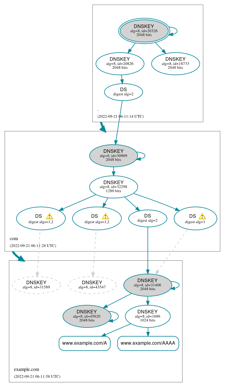 DNSSEC authentication graph