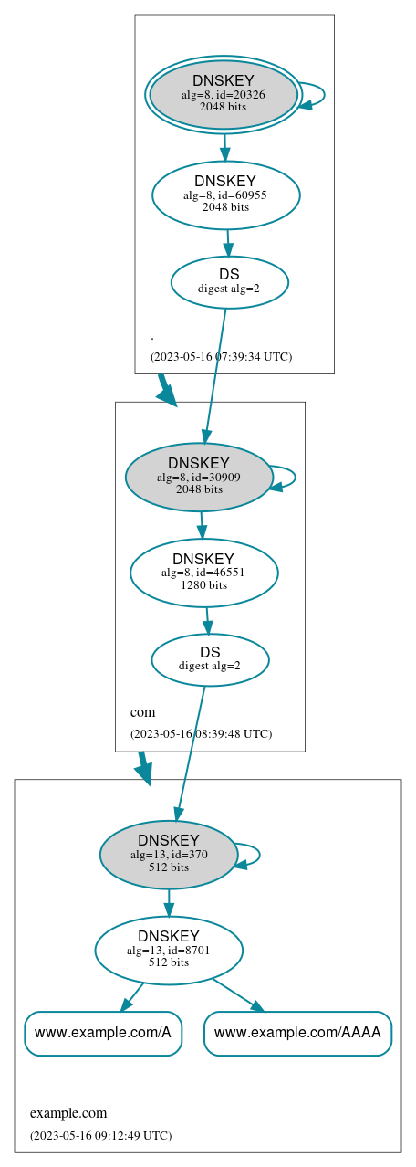 DNSSEC authentication graph