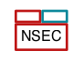 NSEC nodes that are partially bogus